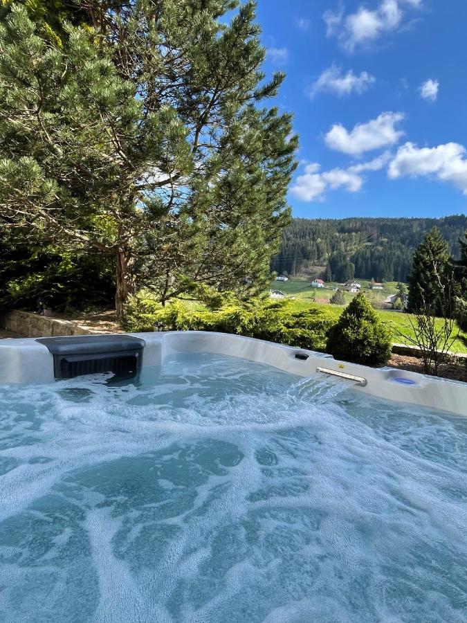 La Charbonniere, Grand Gite Haut-De-Gamme Avec Jacuzzi Et Sauna Gerardmer Luaran gambar